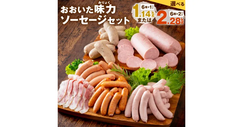 【ふるさと納税】おおいた味力ソーセージ セット 6種 ＜選べる＞ 1.14kg 2.28kg 詰め合わせ 詰合せ ウインナー フランクフルト ベーコン ボローニャ 粗挽き 加工品 加工肉 冷凍 九州産 送料無料