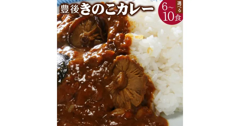 【ふるさと納税】豊後 きのこ カレー ＜選べる＞ 6食 10食 セット 1袋180g 椎茸 大分県産 レトルト 簡単 ギフト 贈答用 九州 大分県 送料無料