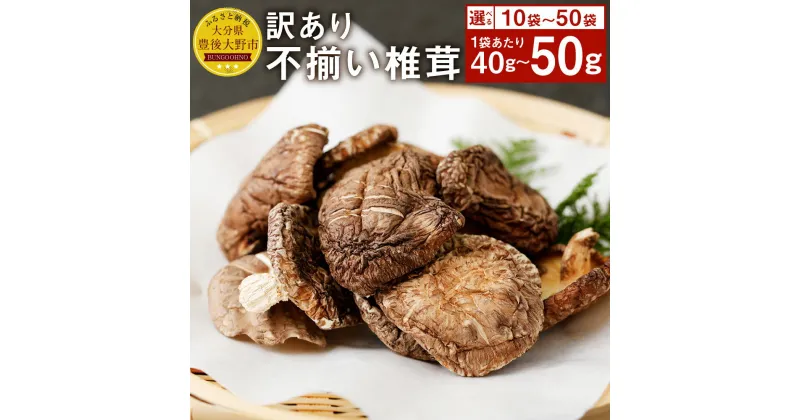 【ふるさと納税】訳あり 不揃い椎茸 ＜選べる＞ 10袋 50袋 セット 1袋40g 50g 椎茸 乾燥シイタケ 乾椎茸 しいたけ おすそ分け 小分け 大分県産 九州産 送料無料