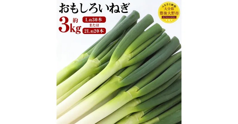 【ふるさと納税】豊後大野市産 おもしろいねぎ 約3kg ＜サイズが選べる＞ L30本 または 2L20本 白葱 白ねぎ 白ネギ ネギ ねぎ 葱 野菜 贈答 ギフト お裾分け 国産 九州産 大分県 産地直送 冷蔵 送料無料【2024年9月上旬から2025年3月下旬発送予定】