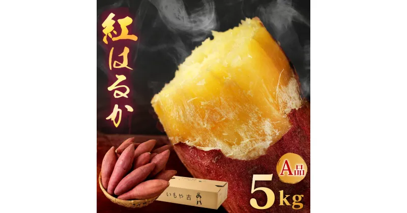 【ふるさと納税】【先行予約】紅はるか 約5kg A品 箱入り 大分県産 さつまいも 甘藷 サツマイモ お芋 芋 焼き芋 産地直送 土付き べにはるか 国産 九州 いもや吉 送料無料【2024年12月上旬から2025年5月上旬発送予定】