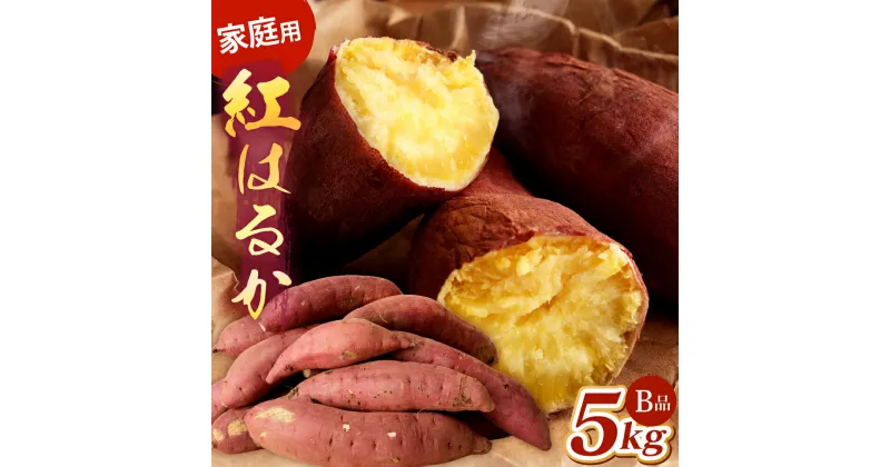 【ふるさと納税】【先行予約】【訳あり】紅はるか 約5kg ご自宅用 B品 大分県産 傷・汚れあり さつまいも 甘藷 サツマイモ お芋 芋 焼き芋 産地直送 土付き べにはるか 国産 九州 いもや吉 送料無料【2024年12月上旬から2025年5月上旬発送予定】