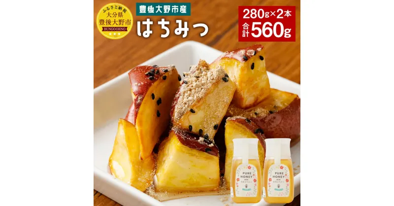 【ふるさと納税】豊後大野市産 はちみつ 280g×2本 プラ容器 蜂蜜 調味料 純粋はちみつ 非加熱 大分県産 国産 送料無料 春