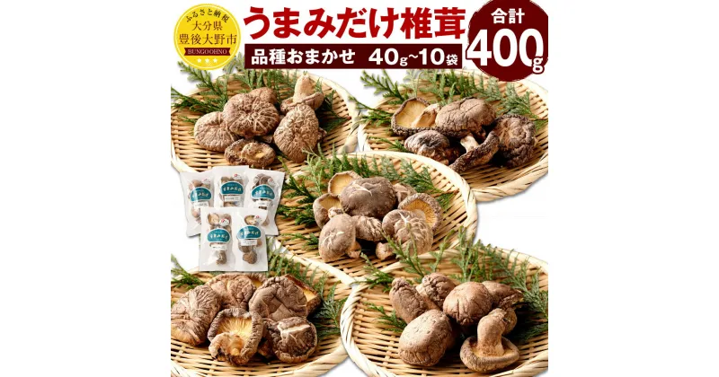 【ふるさと納税】うまみだけ 椎茸 40g×10袋 合計 400g （品種おまかせ） 椎茸 しいたけ 干ししいたけ 乾燥椎茸 大分県産 国産 九州 送料無料