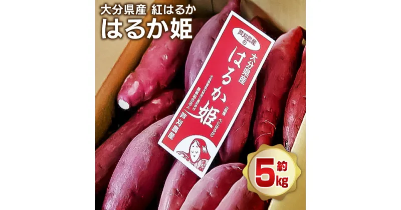 【ふるさと納税】【先行予約】 はるか姫 約5kg さつまいも べにはるか 紅はるか 芋 薩摩芋 甘藷 野菜 焼きいも 国内産 大分県産 豊後大野市産 おやつ スイーツ しっとり 送料無料【2024年11月下旬から2025年5月下旬発送予定】