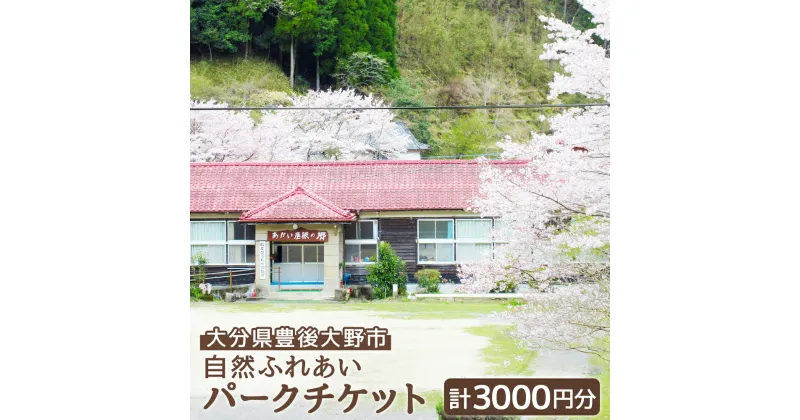 【ふるさと納税】自然ふれあいパーク チケット 各施設に使える利用チケット 計3000円分 ( 500円 × 6枚セット ) 旅行 素泊まり 自然 ふれあい 川遊び 五右衛門風呂 ドラム缶風呂 風呂 ふろ 九州 観光 旅行 宿 大分県 地域 手作り てづくり 行事 小学校 学校 送料無料