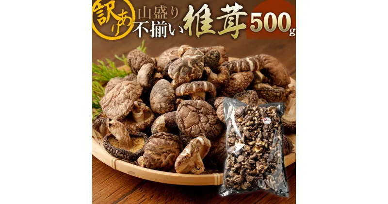 【ふるさと納税】山盛り不揃い椎茸 500g 大容量 訳あり 家庭用 しいたけ 乾燥シイタケ 国産 九州 大分県 送料無料