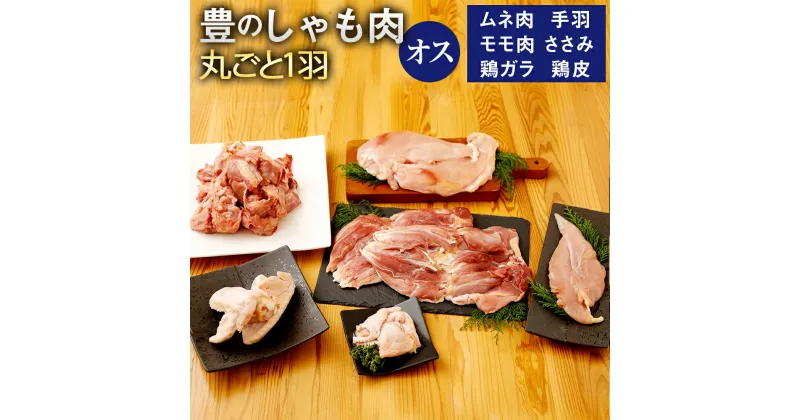 【ふるさと納税】豊のしゃも肉 丸ごと1羽 オスのみ ムネ肉・モモ肉各2枚 手羽2本 ささみ2本 鶏皮 鶏ガラ 軍鶏 軍鶏肉 軍鶏鍋 国産 大分県産 地鶏 冷蔵 送料無料