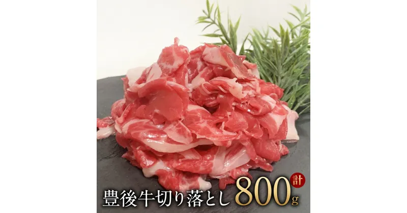 【ふるさと納税】豊後牛 切り落とし 800g（200g×4パック） 霜降り 牛肉 和牛 炒めもの カレー 国産 大分県 冷凍 送料無料