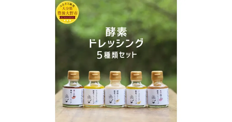 【ふるさと納税】 酵素ドレッシング 5種類 セット 酵素 ドレッシング 米麹 調味料 健康 熟成梅みそ ハーブandマスタード 胡麻クリーム シンプルフレンチ 香り中華 セット ギフト 詰め合わせ 送料無料