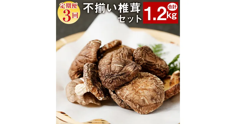 【ふるさと納税】【定期便3ヶ月連続発送】 不揃い椎茸 10袋セット 40g×10袋×3回 合計1.2kg セット 3ヶ月 椎茸 乾燥シイタケ 訳あり 乾椎茸 しいたけ おすそ分け プレゼント 小分け 大分県産 九州産 送料無料