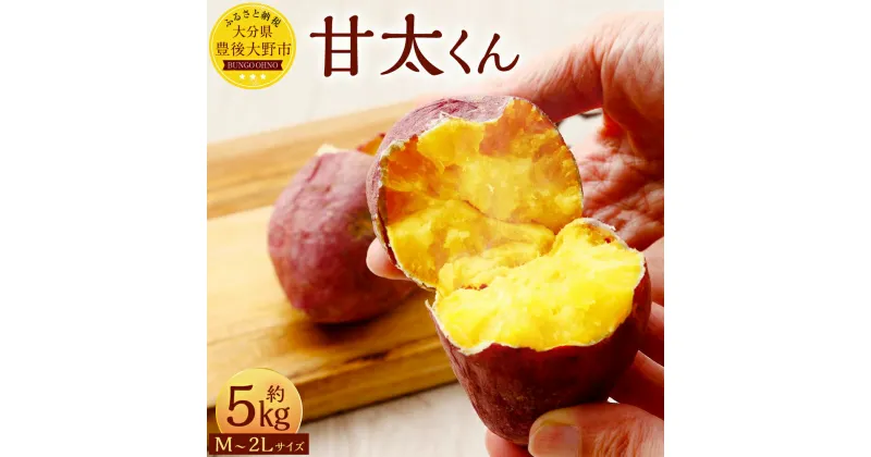 【ふるさと納税】甘太くん 約5kg M～2Lサイズ サイズ指定不可 紅はるか べにはるか さつまいも サツマイモ お芋 芋 焼き芋 おいも 甘藷 野菜 国産 九州 大分県 豊後大野市 送料無料【2024年12月下旬から2025年4月上旬発送予定】