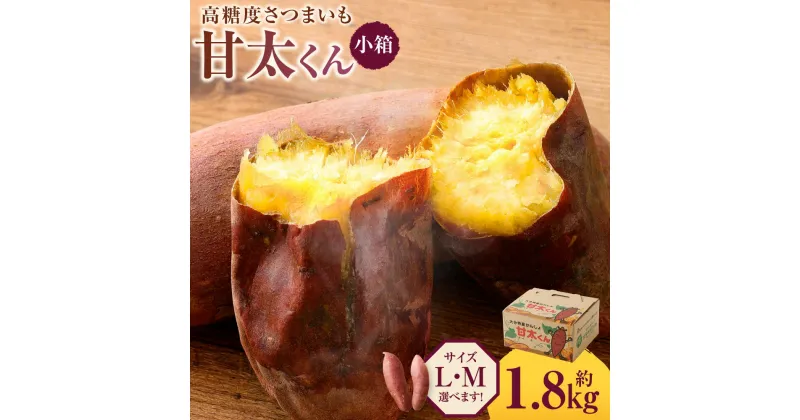 【ふるさと納税】【先行予約】高糖度さつまいも 甘太くん 約1.8kg 小箱 ＜選べる＞ Mサイズ Lサイズ さつまいも べにはるか 紅はるか 芋 薩摩芋 甘藷 野菜 焼きいも おやつ 国産 大分県 豊後大野市 送料無料【2024年11月下旬から2025年4月下旬発送予定】