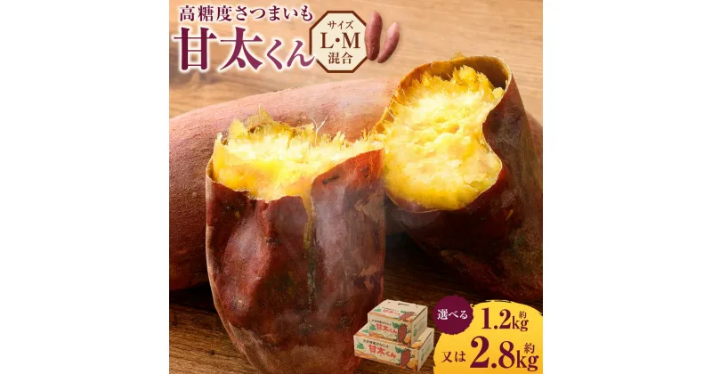 【ふるさと納税】【先行予約】高糖度さつまいも 甘太くん ＜選べる＞ 約1.2kg 約2.8kg Lサイズ Mサイズ さつまいも べにはるか 紅はるか 芋 薩摩芋 甘藷 野菜 焼きいも おやつ 国産 大分県 豊後大野市 送料無料【2024年11月下旬から2025年4月下旬発送予定】