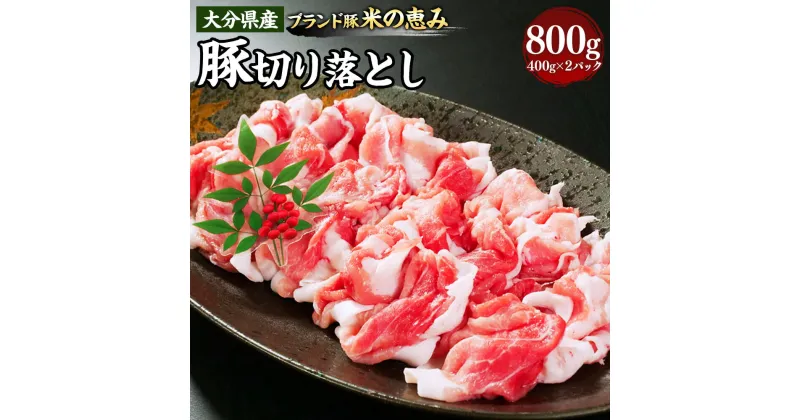 【ふるさと納税】大分県産【米の恵み】豚切り落とし 約400g×2パック 合計約800g ブランド豚 豚肉 ブタ お肉 肉 スライス しゃぶしゃぶ 炒めもの おかず おつまみ 冷凍 豊後大野市 送料無料