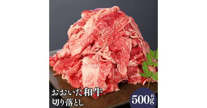 【ふるさと納税】おおいた和牛 切り落とし 約500g 牛肉 お肉 肉 国産 和牛 4等級以上 モモ ウデ バラ すき焼き 焼肉 カレー シチュー 冷凍 豊後大野市 送料無料