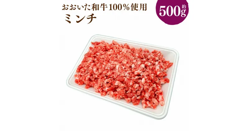 【ふるさと納税】おおいた和牛 ミンチ 約500g 和牛100% 牛肉 お肉 肉 ミンチ肉 和牛ミンチ ひき肉 国産 4等級以上 ハンバーグ メンチカツ 冷凍 豊後大野市 送料無料