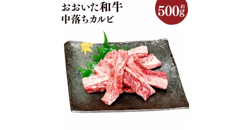 【ふるさと納税】おおいた和牛 中落ちカルビ 約500g 牛肉 お肉 肉 和牛バラ肉 希少部位 中落ち 国産 4等級以上 冷凍 豊後大野市 送料無料