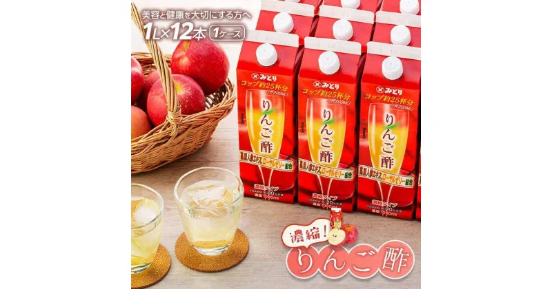 【ふるさと納税】濃縮りんご酢 1000ml×12本（常温保存可能品／1ケース） | お酢 希釈 果樹酢 りんご酢 ドリンク 林檎 健康 美容 濃縮 水割り ソーダ割り 紙パック 飲料 お取り寄せ 送料無料 湯布院 由布院 ゆふいん