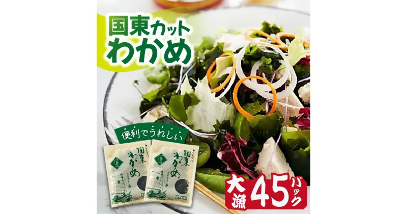 【ふるさと納税】カット わかめ 45パック 135g 3g×45p 小分け 乾燥 便利 人気 味噌汁 酢の物 サラダ スープ おにぎり 天然 国産 冷風乾燥わかめ 大分 国東 九州 海藻 シャキシャキ お取り寄せ 食品 海の幸 送料無料