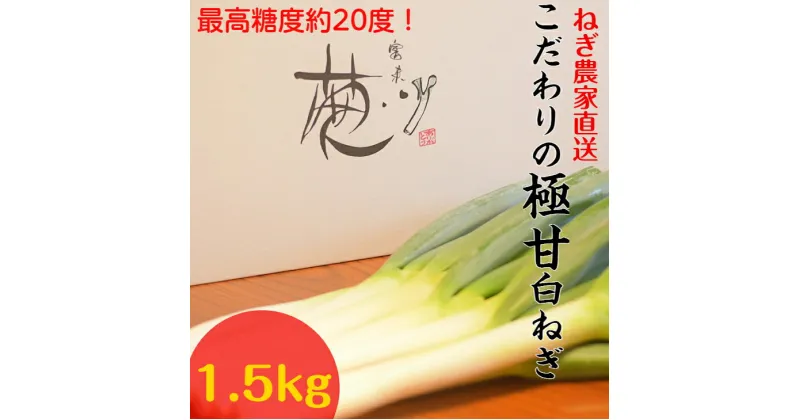 【ふるさと納税】冷蔵発送/小田農園の極甘白ネギ1.5kg