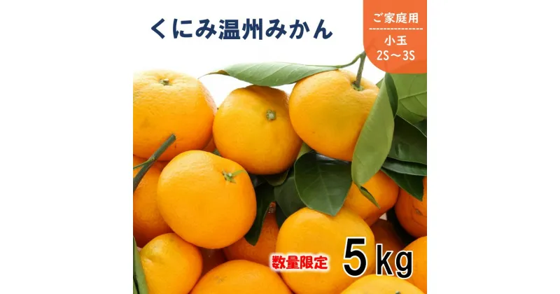 【ふるさと納税】石本農園の興津早生 小玉みかん（2S～3S） 約5kg（ご家庭用）