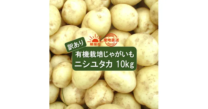 【ふるさと納税】訳あり 有機栽培 じゃがいも 10kg ニシユタカ 朝採れ 直送 有機JAS認証