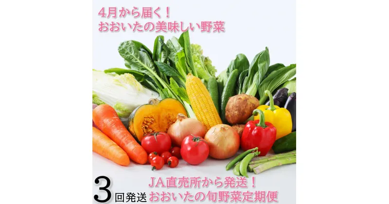 【ふるさと納税】4月からお届け!おおいたの旬野菜定期便/計3回発送