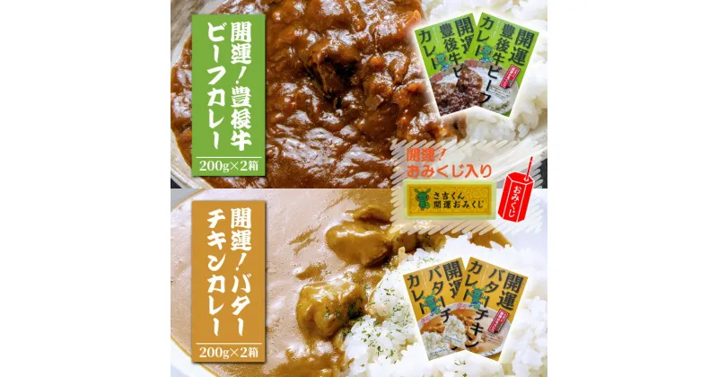 【ふるさと納税】開運！豊後牛ビーフカレー200g×2箱＆バターチキンカレー200g×2箱（計4箱）